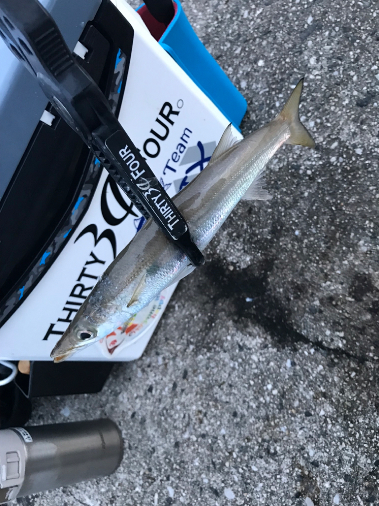 毎週末のルーティン