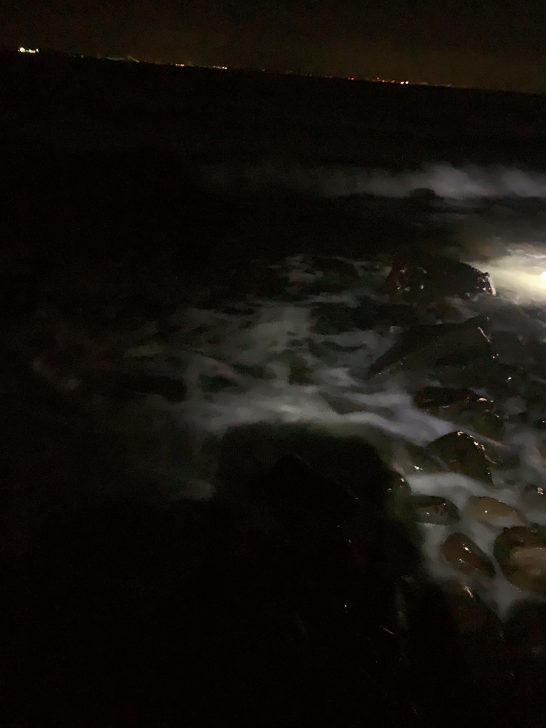 フロートゲーム