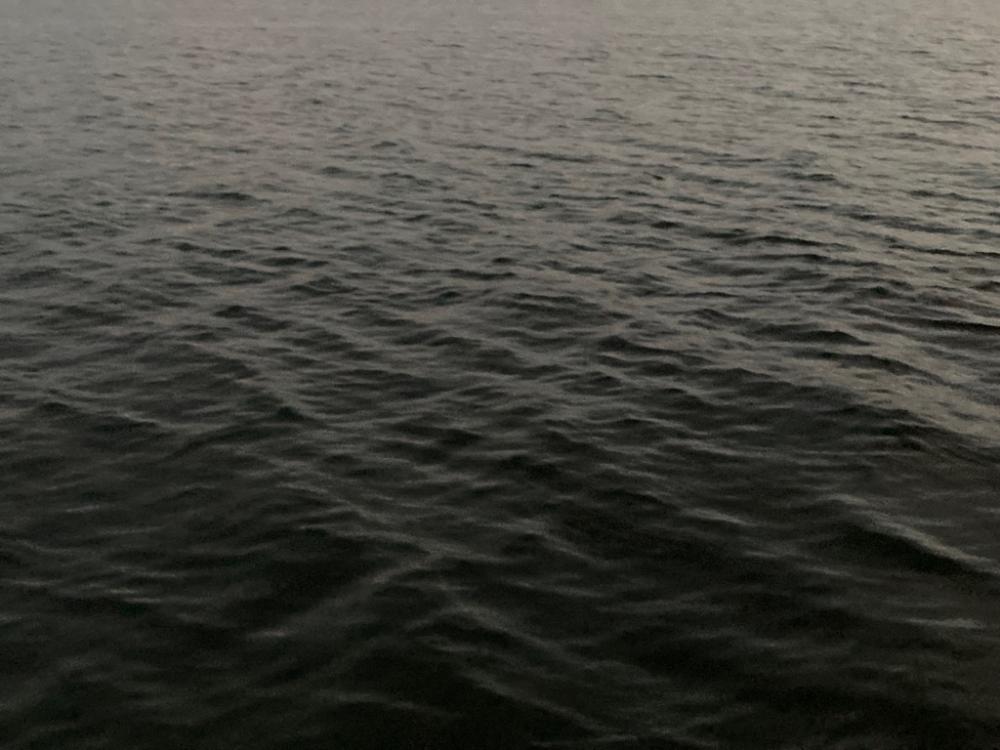 久しぶりのタチウオ