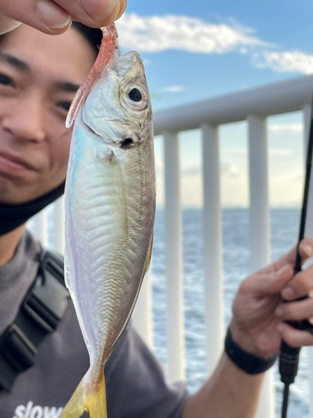 アジング初挑戦