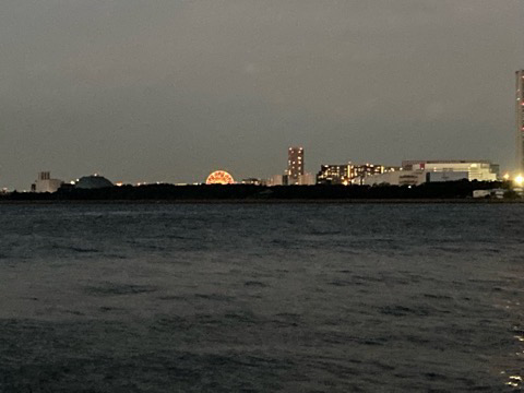 苦潮それとも・・・