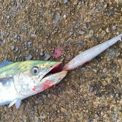 坊主ジグ13種目目