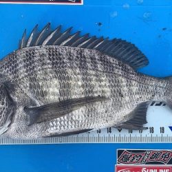 最後に疲れました