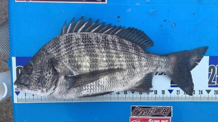 最後に疲れました