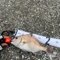 宇佐一文字フカセ釣り