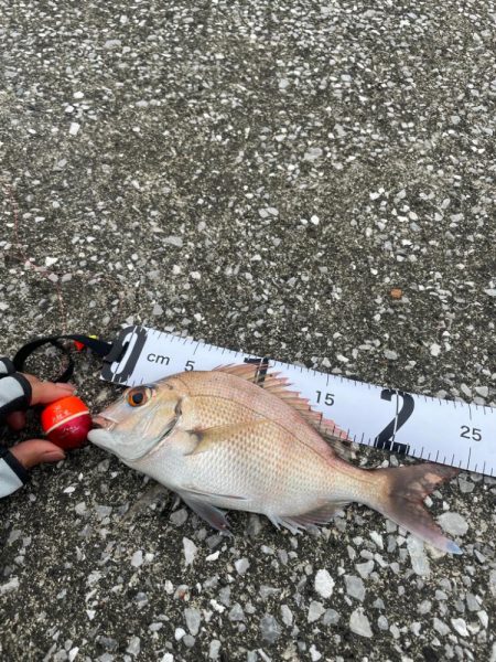 宇佐一文字フカセ釣り