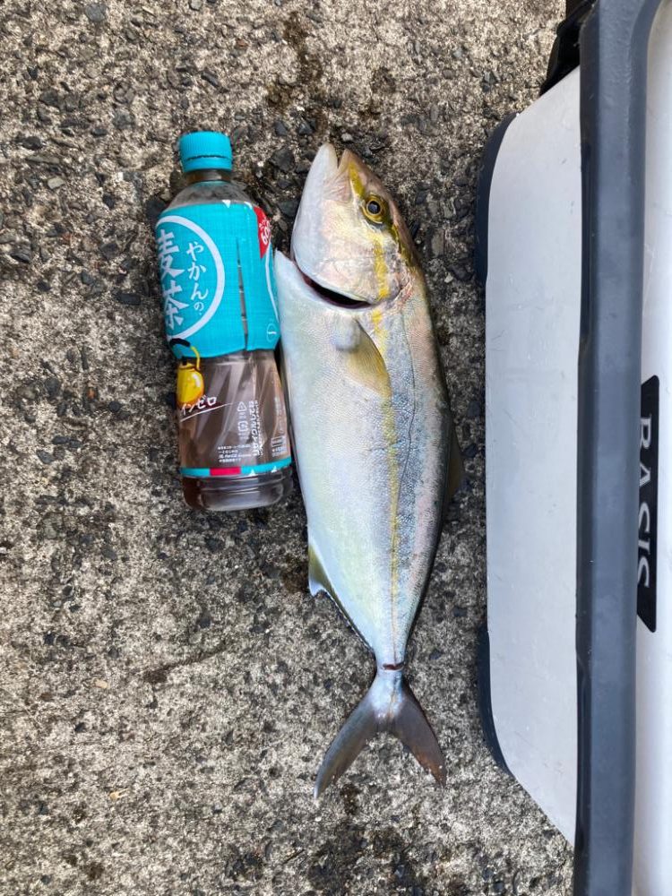 ショアジギング