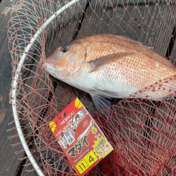 雨の釣り堀海恵