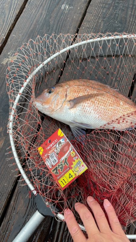 雨の釣り堀海恵