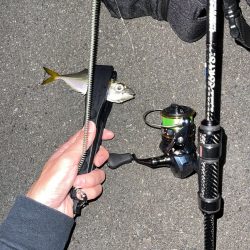 0.2gのジグヘッド