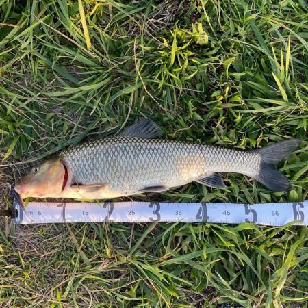 どでかいの釣れたど‼︎♬