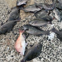 クロ釣り練習❗️