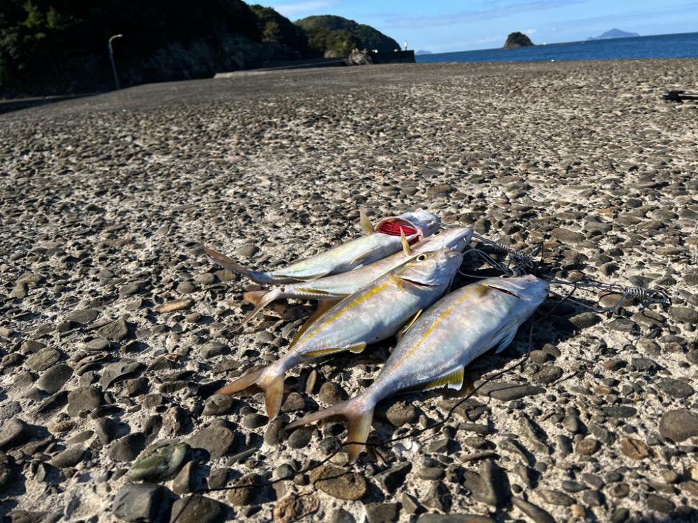 夢はネイリスト