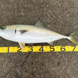 そろそろ帰ろうかと思ったら…