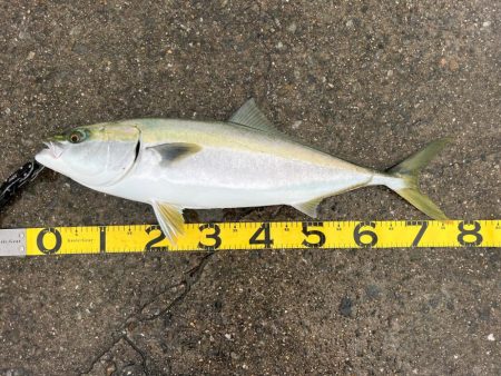 そろそろ帰ろうかと思ったら…