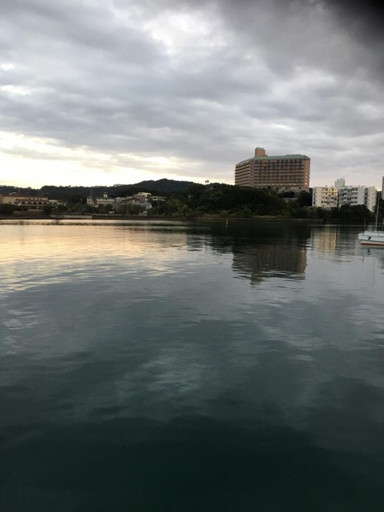 オオモンハタとガシラ