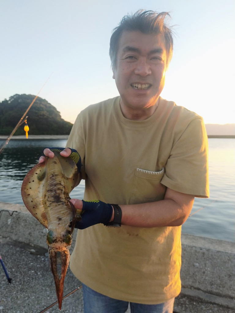 1か月半ぶりのアオリイカ