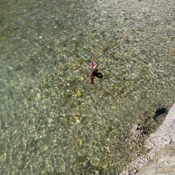 今日のエギングの釣果