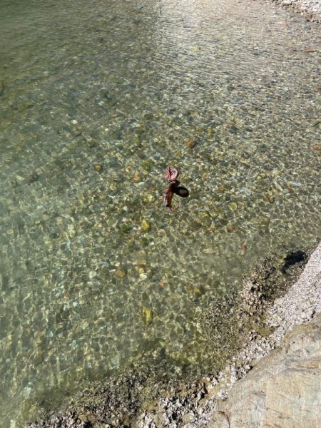 今日のエギングの釣果