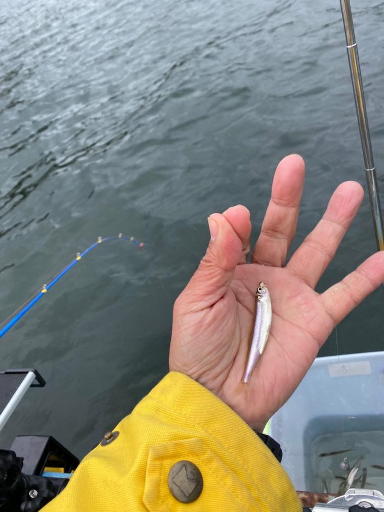 赤城大沼ワカサギ釣り