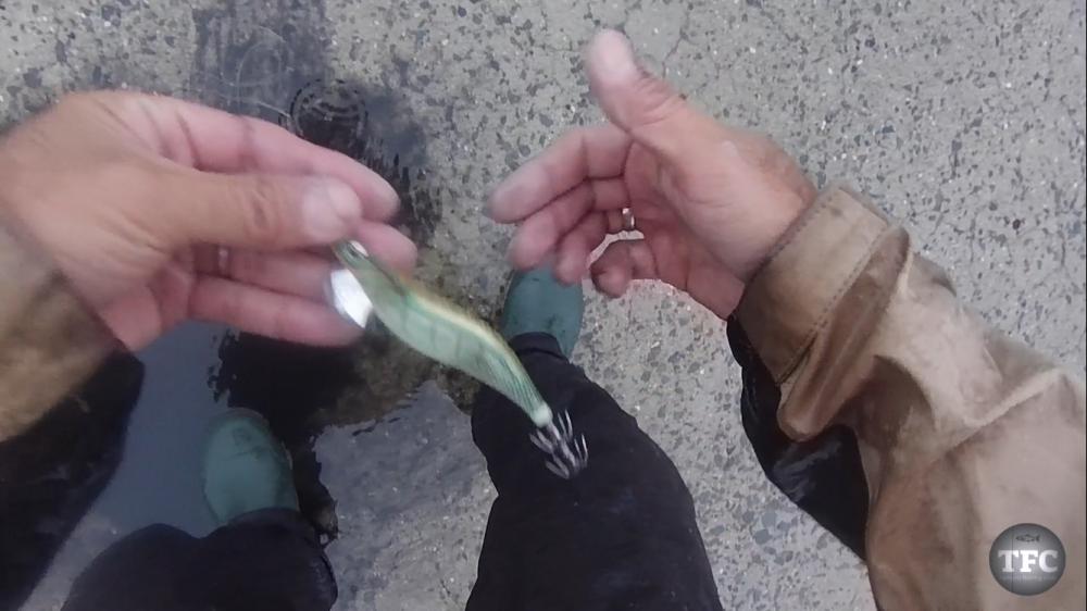 雨の日に釣れた