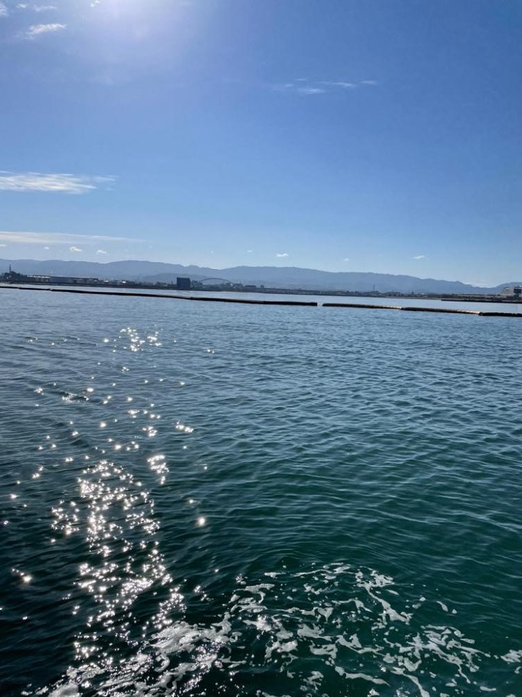 岸和田一文字　飲ませ釣り