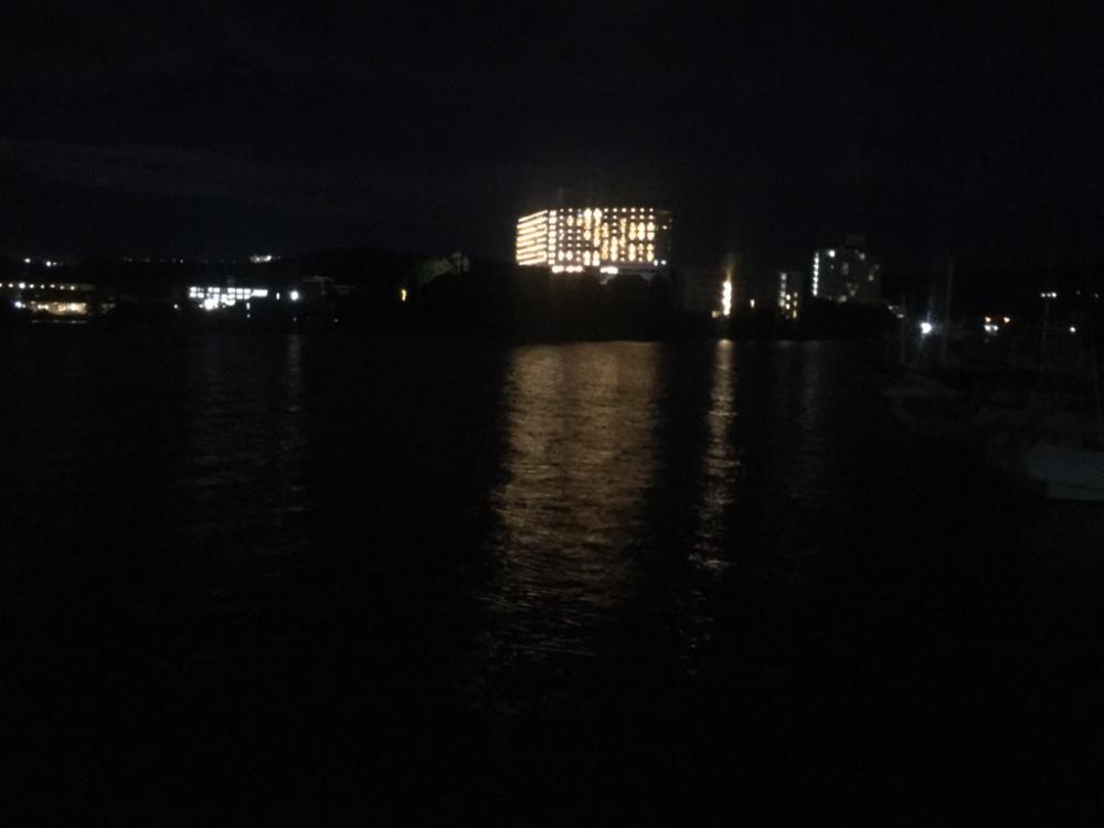 いろんな魚が釣れました！