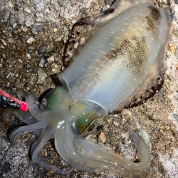 噂通りの絶好調？