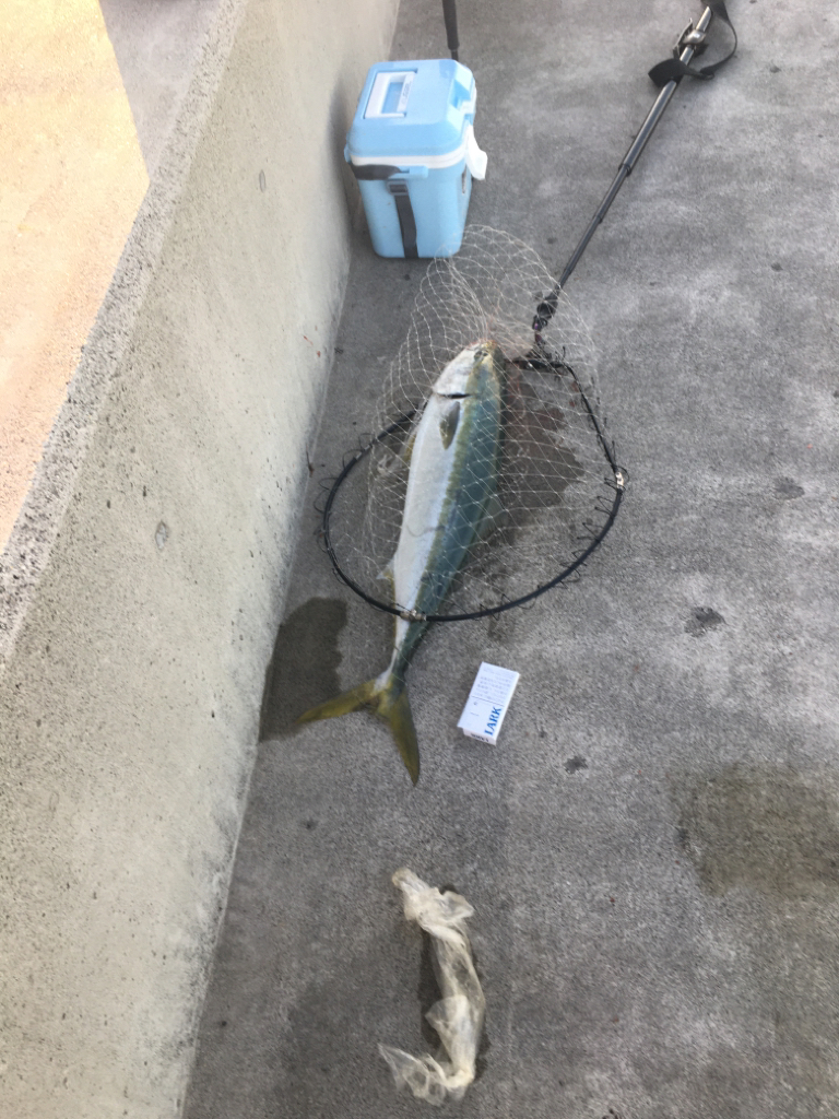 自己最高80センチオーバー