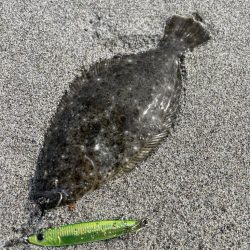 ソゲが遊んでくれました！