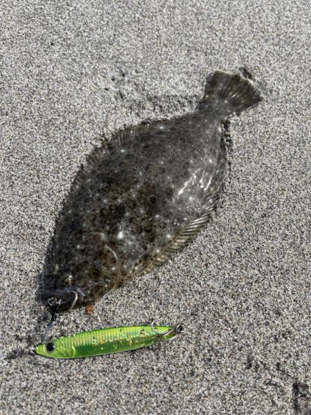 ソゲが遊んでくれました！