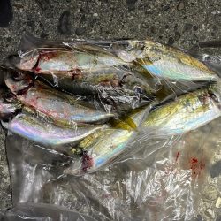 海の中はまだ夏なのか？