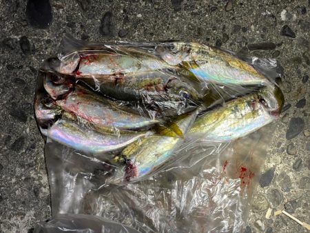 海の中はまだ夏なのか？