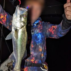 ボートシーバス