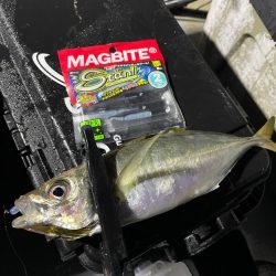 ナイトアジングゲーム