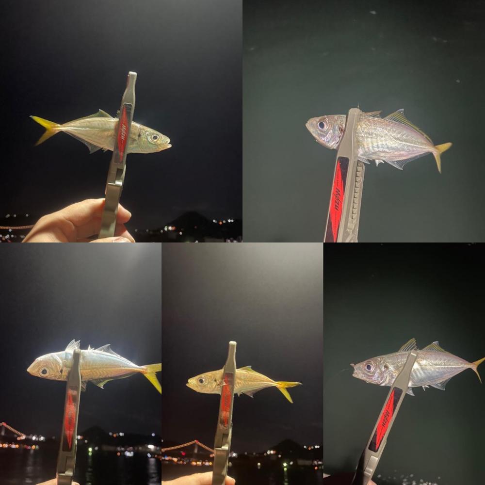 久しぶりのホームグラウンド