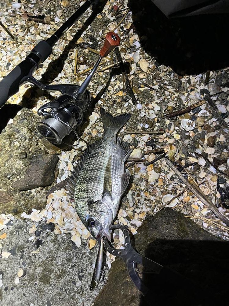 ヌーチー祭2022in autumn