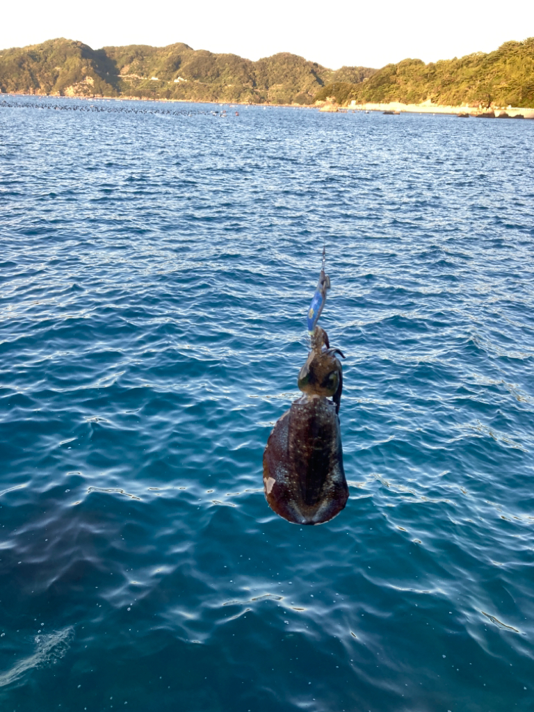 エギングランガン