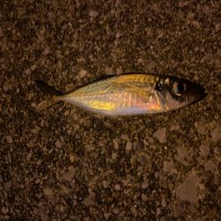 サブウェポンのアジング