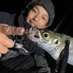 ボートアジング