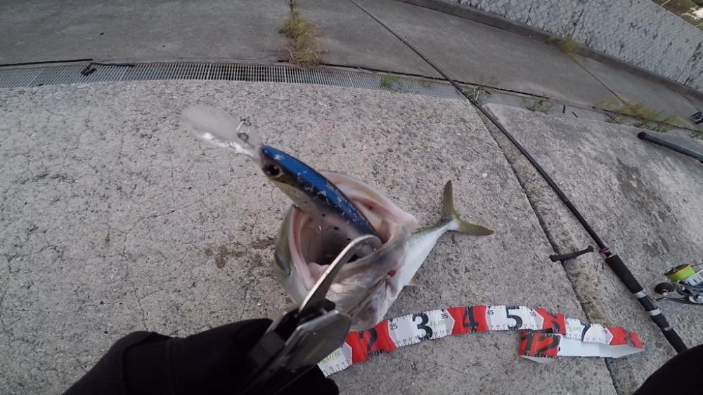 メジロ！2022ライトゲーム第35戦