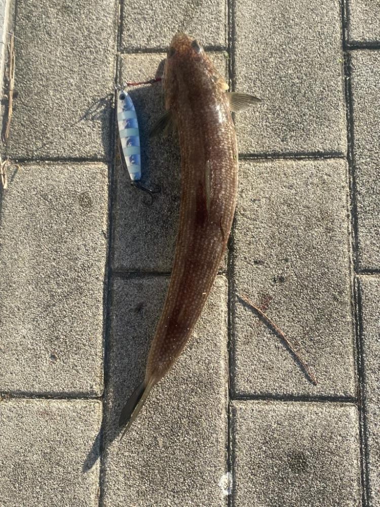 SWコスモ弍番隊〜ジャークな日々〜