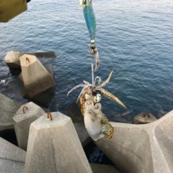 【和歌山遠征】念願の1杯はリリースサイズ・・・