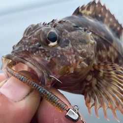 デイアジング。