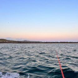 オフショア五目釣り