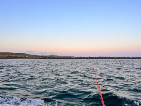 オフショア五目釣り