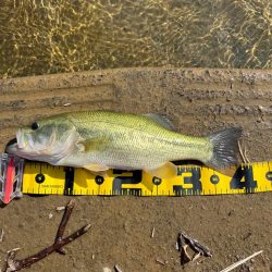 久しぶりの大隅湖🐟