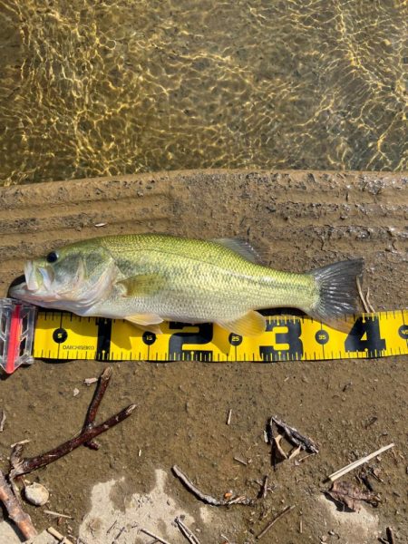 久しぶりの大隅湖🐟