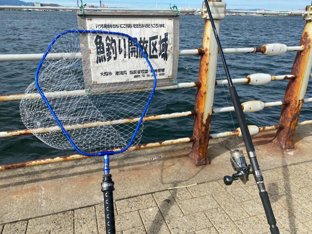 青物釣れてました。