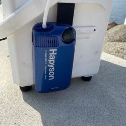 まだまだ小さいサイズが釣れもう少しで良い型が出てくると期待しながら